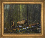 Michael Coleman - Morning Light. Oil on canvas board.