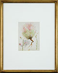 Vincent Colyer - Flowering Stalk. Watercolor.
