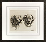 William Robinson Leigh - Bear Dogs. Drypoint etching.