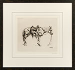 William Robinson Leigh - Navajo Pony. Drypoint etching.